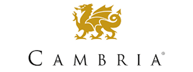 Golden dragon logo above the word 'AMBR'.