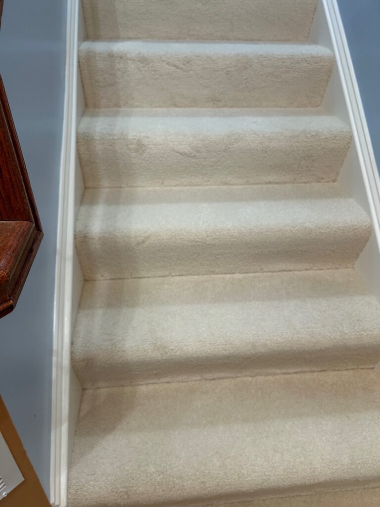 Carpeted staircase with visible dirt and stains on the steps.