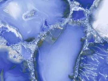 IMMERSE™